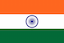 India-Delhi flag